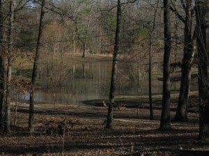 Overflowing Pond