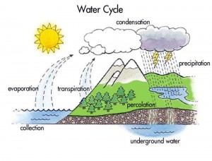 Water Cycle Montessori Materials
