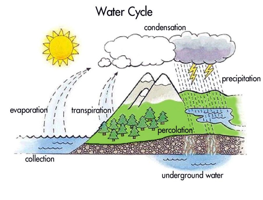 Evapotation means that when it is a super hot day the wat For Water Cycle Worksheet Middle School