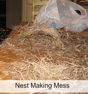 Nesting Pictures