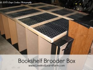 Bookshelf Brooder Box