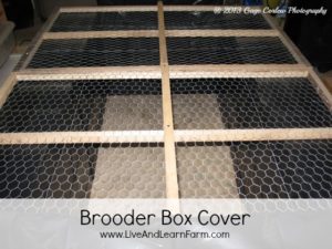 Brooder Box Cover