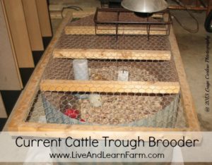 Cattle Trough Chick Brooder Box