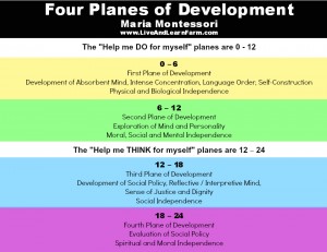 Maria Montessori Four Planes of Development