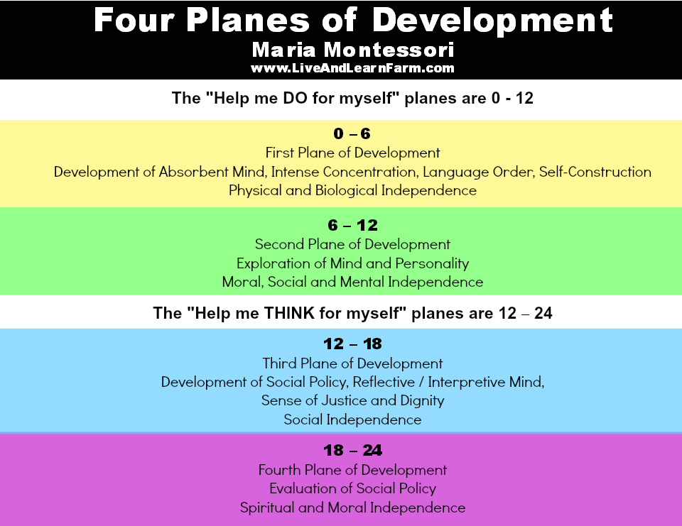 Maria Montessori Four Planes of Development