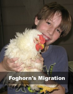 Foghorn