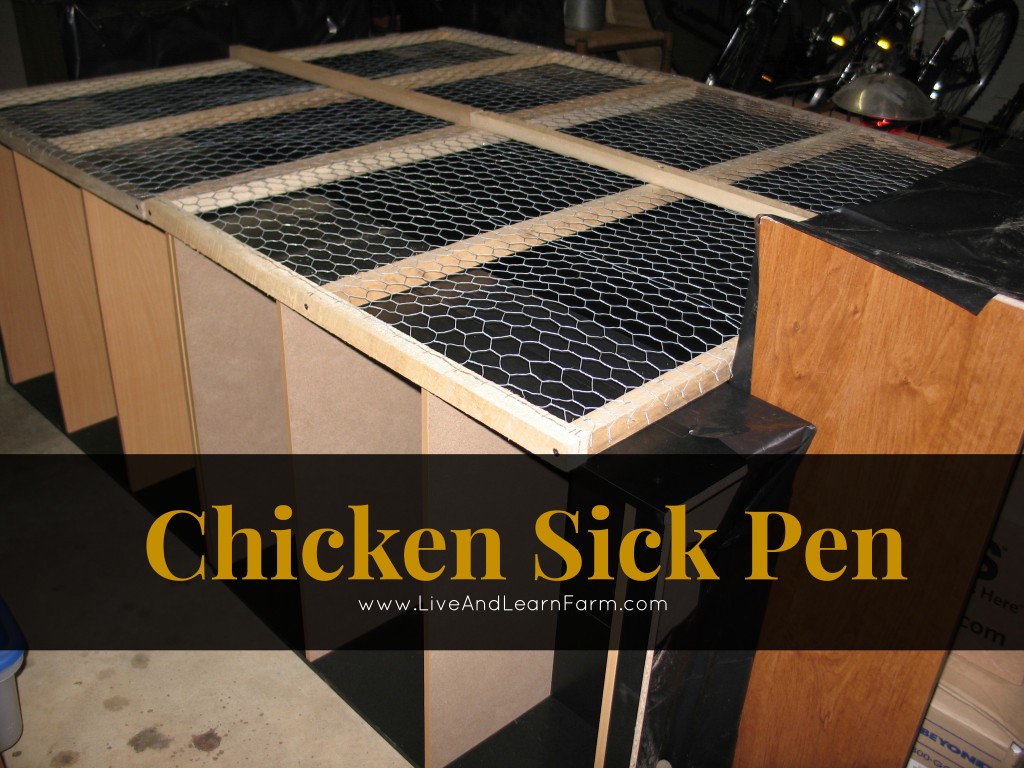 Chicken Sick Pen
