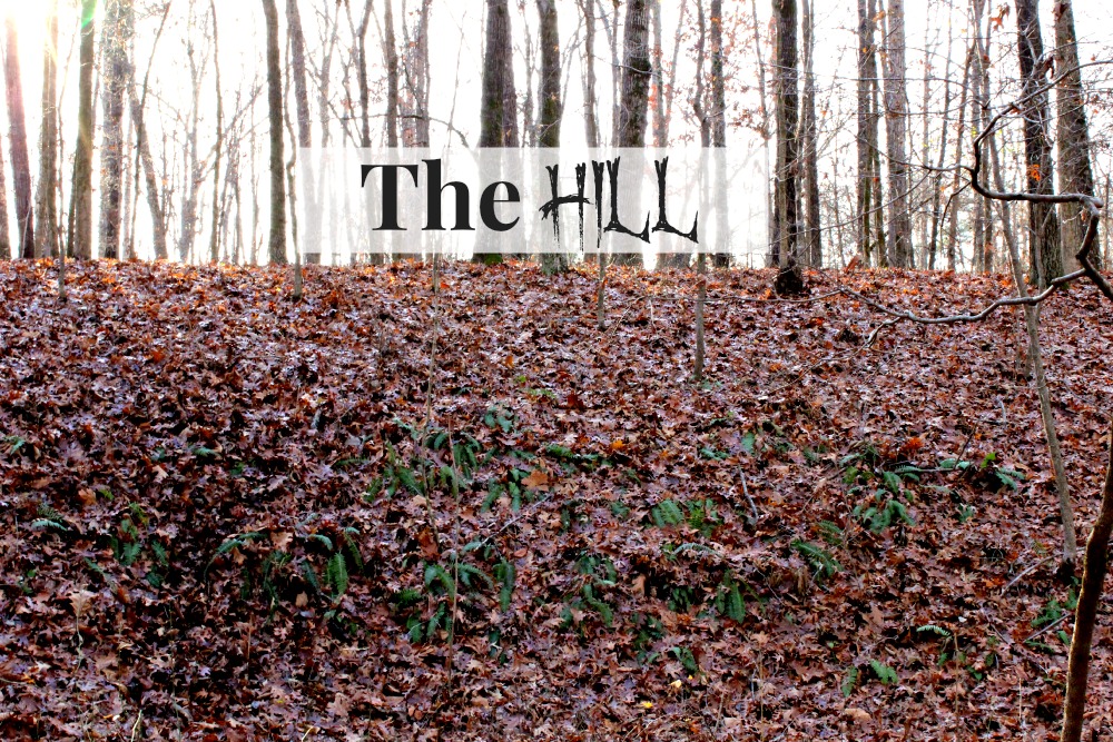 The Hill