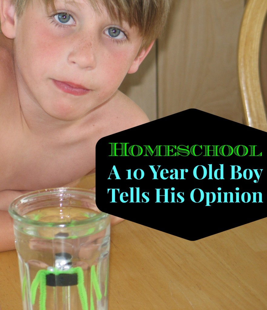 Homeschool 10 year old boy's opinion