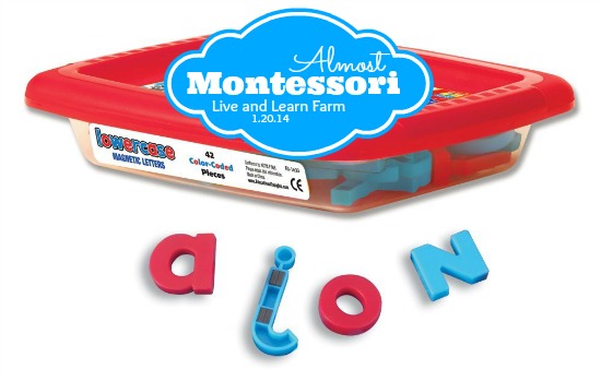 Montessori lower case magnetic letters