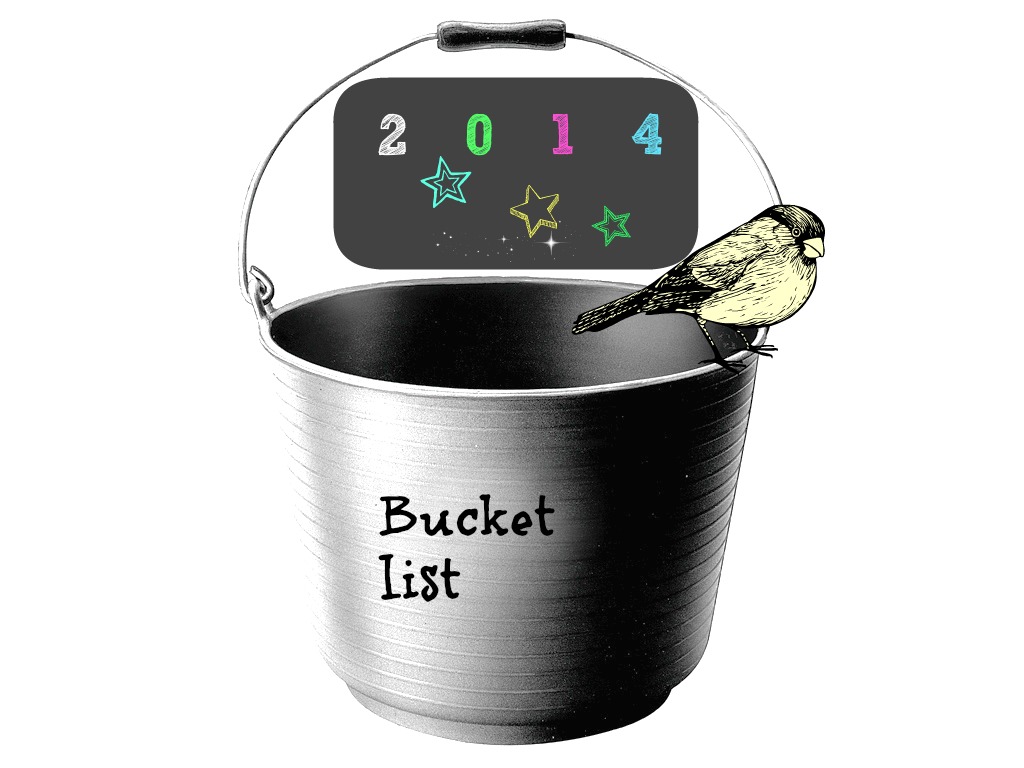 Bucket list for Blake