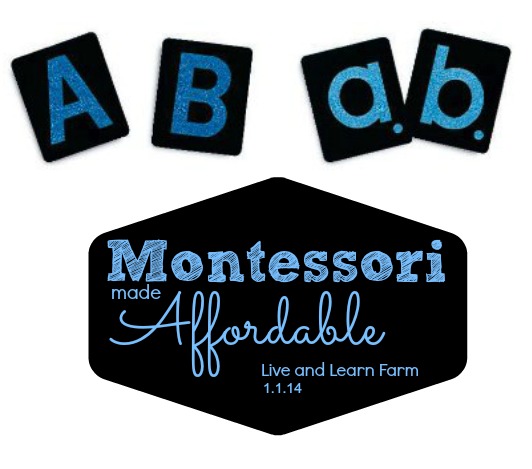 Montessori Made Affordable Sandpaper Letters sort of