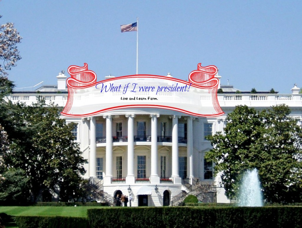 If I were president