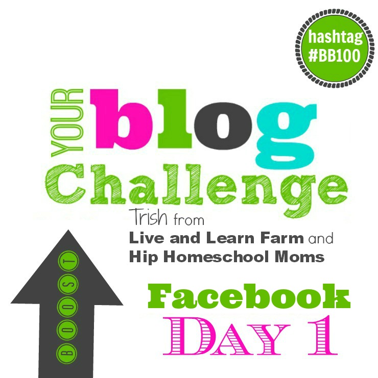 Boost your Blog Facebook Day 1