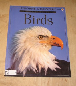 Birds - Usborne Discovery