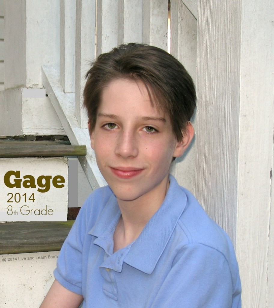 Gage 2014 e