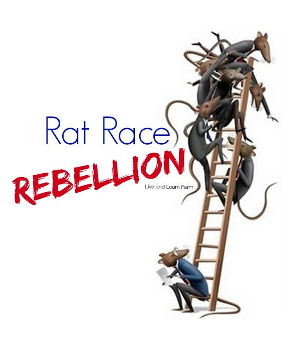 rat race rebellion 2