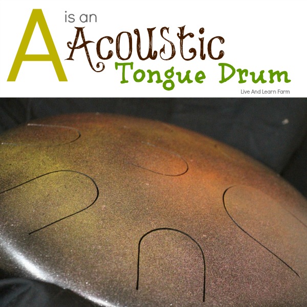 A is an Acoustic Tongue Drum