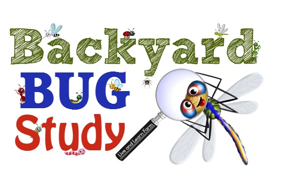 Backyard Bug Study plain