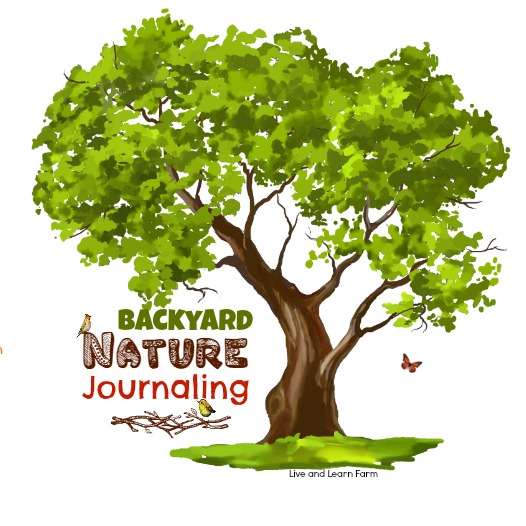 backyard nature journaling