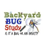Is it a Bug or an Insect?