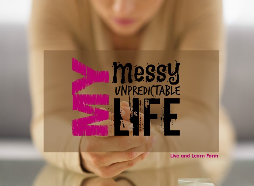 my messy unpredictable life llf