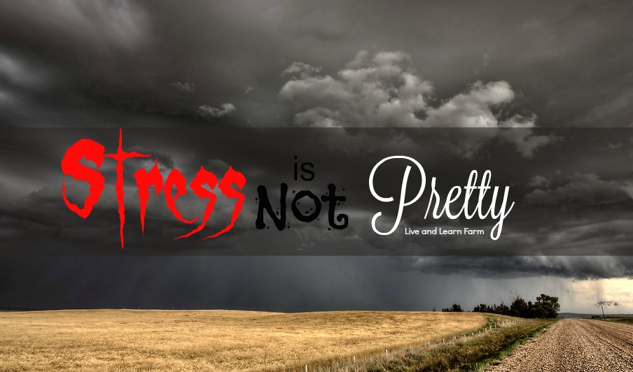 stress is not pretty LLF
