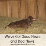 We’ve Got Good News and Bad News