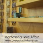 A Montessori Love Affair!