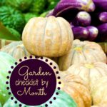 Traditional Garden Checklist by Month
