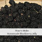 How to Make Homemade Blackberry Jelly
