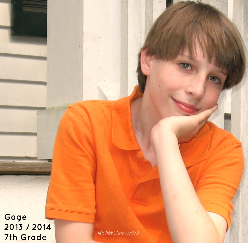 Homeschool curriculum schedule and checklist 2013 2014 live and