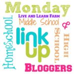 Middle and High School LinkUp #3