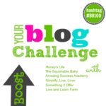 Boost Your Blog in 100 Days Challenge