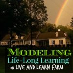 Modeling Life-Long Learning